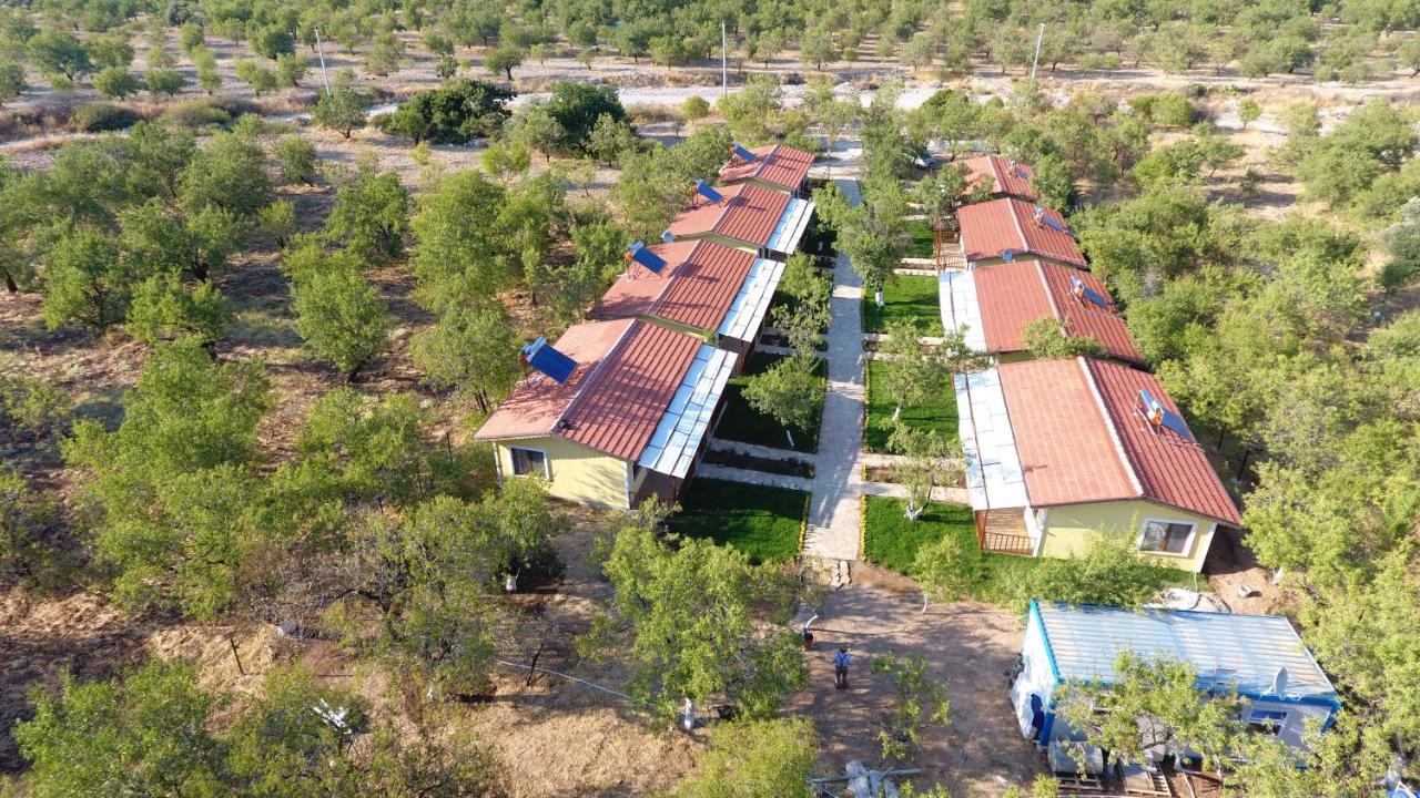 Selerdoga Evleri Hotel Palamutbuku Exterior photo