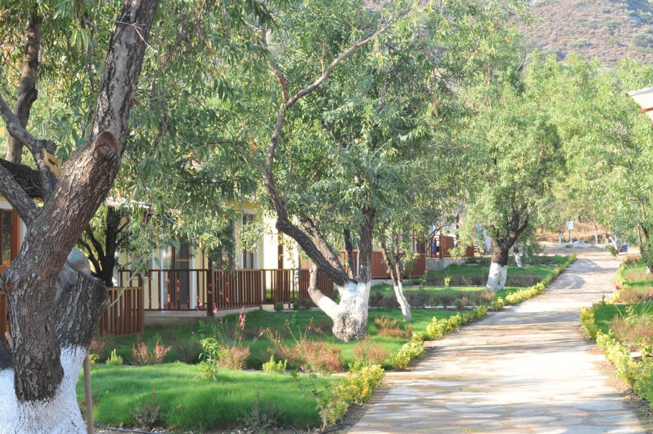 Selerdoga Evleri Hotel Palamutbuku Exterior photo